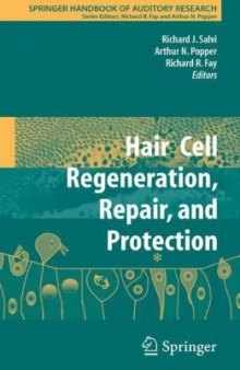 Hair Cell Regeneration, Repair, and Protection (Springer Handbook of Auditory Research)