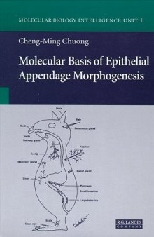 Molecular Basis Of Epithelial Appendage Morphogenesis (Molecular Biology Intelligence Unit)