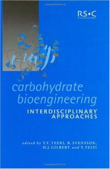 Carbohydrate Bioengineering Interdisciplinary Apporaches