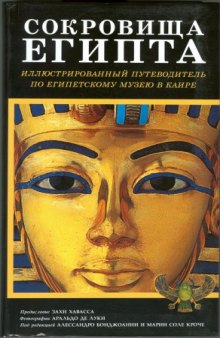 Сокровища Египта. Иллюстрированный путеводитель по Египетскому музею в Каире
