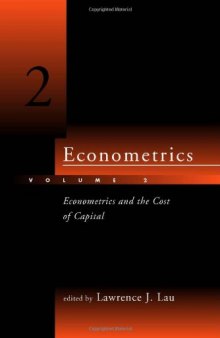Econometrics, Vol. 2: Econometrics and the Cost of Capital