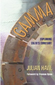Gamma: exploring Euler's constant