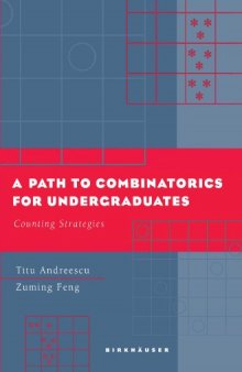 A path to combinatorics for undergraduates: counting strategies