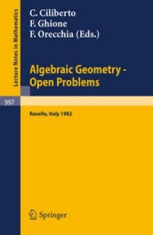 Algebraic Geometry — Open Problems: Proceedings of the Conference Held in Ravello, May 31 – June 5, 1982