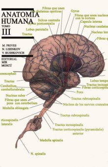 Anatomía humana. T.III, Angiología, neurología ...
