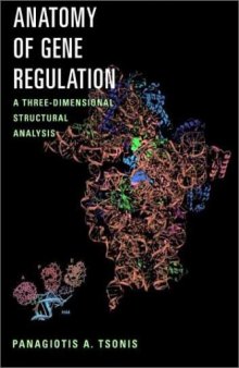 Anatomy of Gene Regulation: A Three-dimensional Structural Analysis