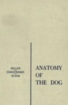 Anatomy of the dog