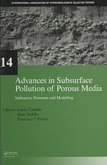 Advances in subsurface pollution of porous media : indicators, processes and modelling