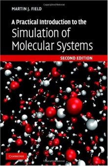 A Practical Introduction to the Simulation of Molecular Systems