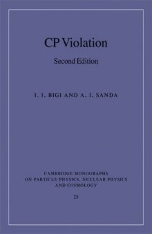 CP Violation