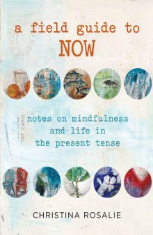 A Field Guide to Now - Notes on Mindfulness and Life in the Present Tense