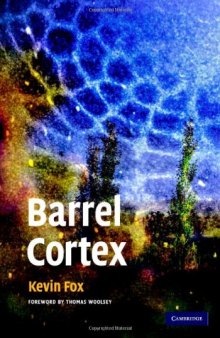 Barrel Cortex
