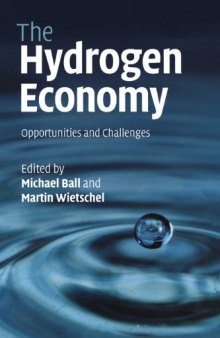 The hydrogen economy: Opportunities and challenges