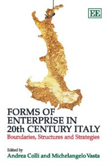 Forms of Enterprise in 20th Century Italy: Boundaries, Structures and Strategies