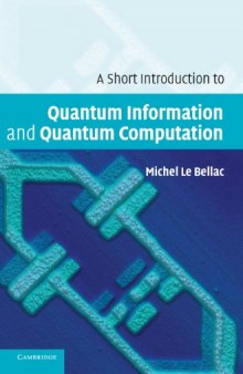 A short introduction to quantum information and quantum computation