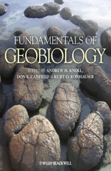 Fundamentals of Geostatistics in Five Lessons