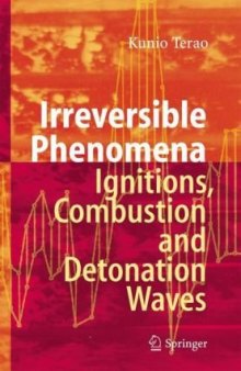 Irreversible Phenomena - Ignitions, Combustion and Detonation Waves