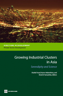 Growing industrial clusters in Asia: serendipity and science