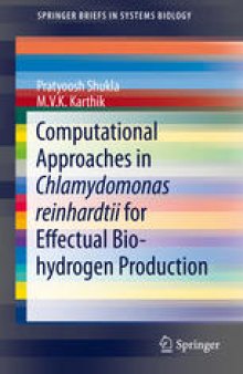 Computational Approaches in Chlamydomonas reinhardtii for Effectual Bio-hydrogen Production