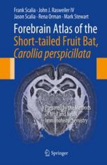 Forebrain Atlas of the Short-tailed Fruit Bat, Carollia perspicillata: Prepared by the Methods of Nissl and NeuN Immunohistochemistry