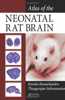 Atlas of the Neonatal Rat Brain