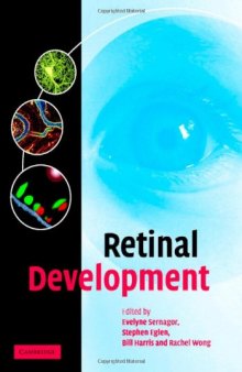 Retinal development