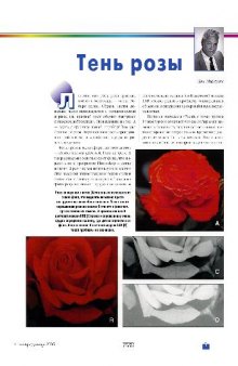 Компью-Принт, Сентябрь/Декабрь 2005 Тень розы или создание сложных масок в Photoshop