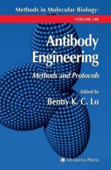 Antibody Engineering, Methods and Protocols