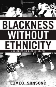 Blackness Without Ethnicity: Race and Construction of Black Identity in Brazil