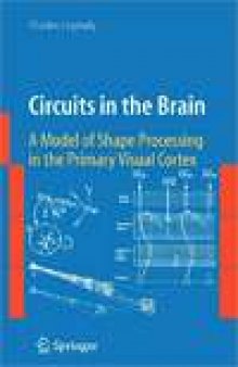 Circuits In The Brain: A Model of Shape Processing in the Primary Visual Cortex