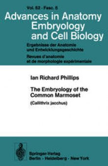 The Embryology of the Common Marmoset: Callithrix jacchus