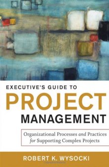 Executive's guide to project management : organizational processes and practices for supporting complex projects