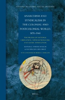 Anarchism and Syndicalism in the Colonial and Postcolonial World, 1870-1940: The Praxis of National Liberation, Internationalism, and Social Revolution  issue 1874-6705