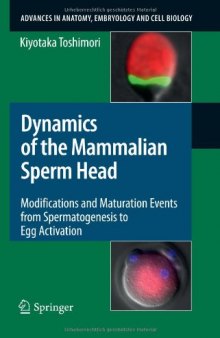 Dynamics of the Mammalian Sperm Head: Modifications and Maturation Events From Spermatogenesis to Egg Activation