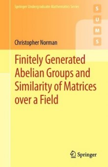 Finitely Generated Abelian Groups and Similarity of Matrices over a Field