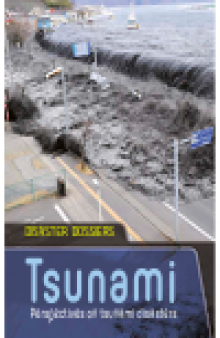 Tsunami. Perspectives on Tsunami Disasters