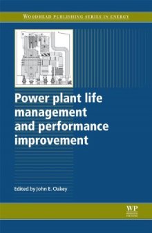 Power Plant Life Management and Performance Improvement (Woodhead Publishing Series in Energy)  