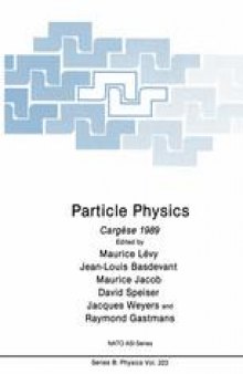 Particle Physics: Cargèse 1989