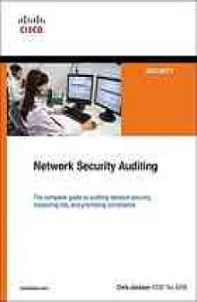 Network security auditing