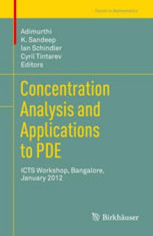 Concentration Analysis and Applications to PDE: ICTS Workshop, Bangalore, January 2012