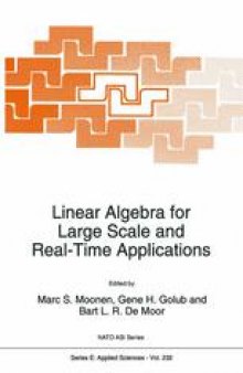 Linear Algebra for Large Scale and Real-Time Applications