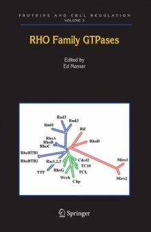 Rho Family GTPases (Proteins and Cell Regulation)