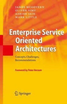 Enterprise Service Oriented Architectures: Concepts, Challenges, Recommendations (The Enterprise Series)