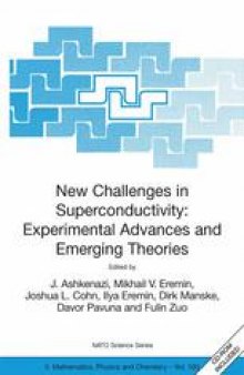 New Challenges in Superconductivity: Experimental Advances and Emerging Theories: Proceedings of the NATO Advanced Research Workshop on New Challenges in Superconductivity: Experimental Advances and Emerging Theories Miami, Florida, U.S.A. 11–14 January 2004