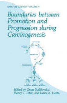Boundaries between Promotion and Progression during Carcinogenesis