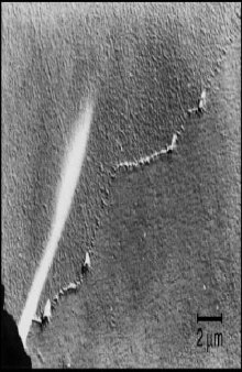 The Pursuit of the Small: From Grain-Boundary Cavities to Nanocrystalline Metals