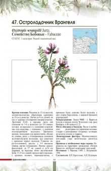Красная книга Чукотского автономного округа. Растения