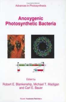 Anoxygenic Photosynthetic Bacteria (Advances in Photosynthesis and Respiration)
