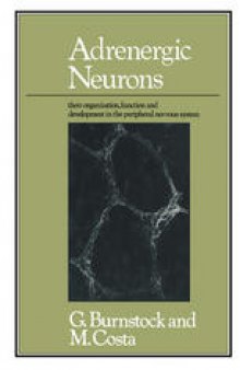 Adrenergic Neurons: Their Organization, Function and Development in the Peripheral Nervous System