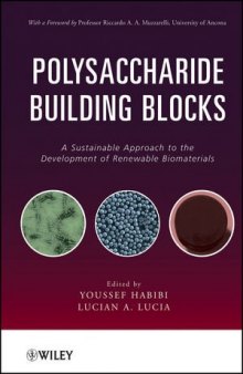 Polysaccharide building blocks : a sustainable approach to renewable materials